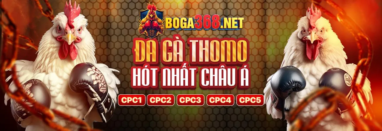 Các tính năng nổi bật của ứng dụng MD5 TX